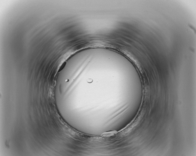 X0000095881481200801251129