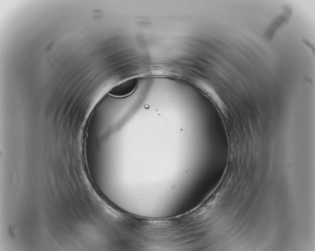 X0000095881483200801251129