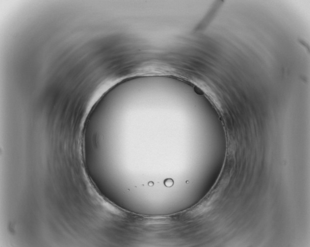 X0000095881486200801251129