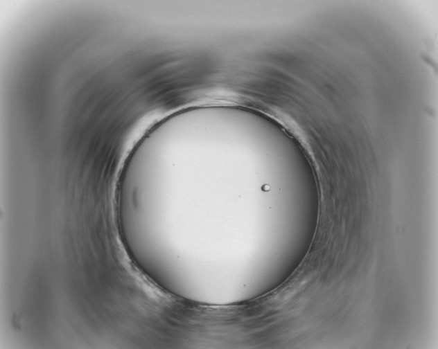 X0000095881488200801251129