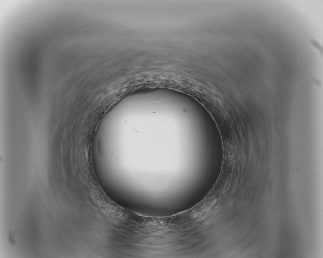 X0000095881489200801251129