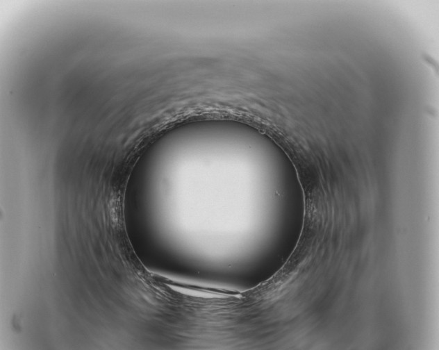 X0000095881490200801251129