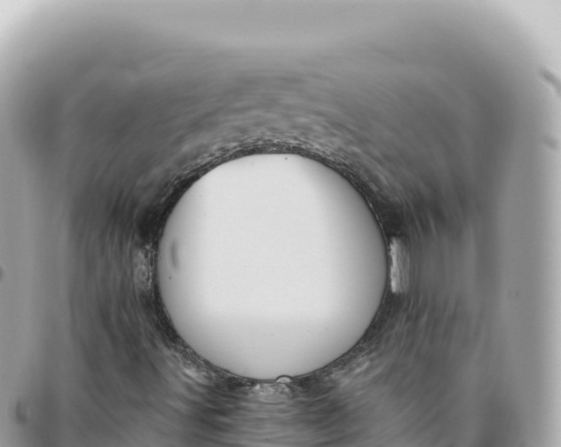 X0000095881491200801251129