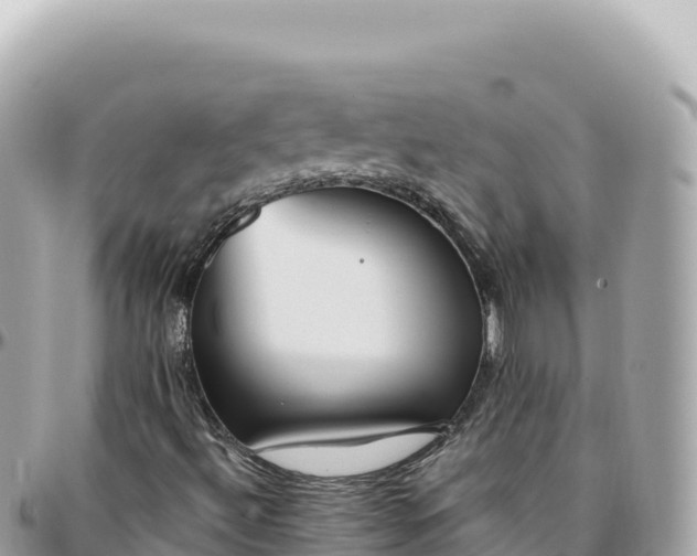 X0000095881492200801251129