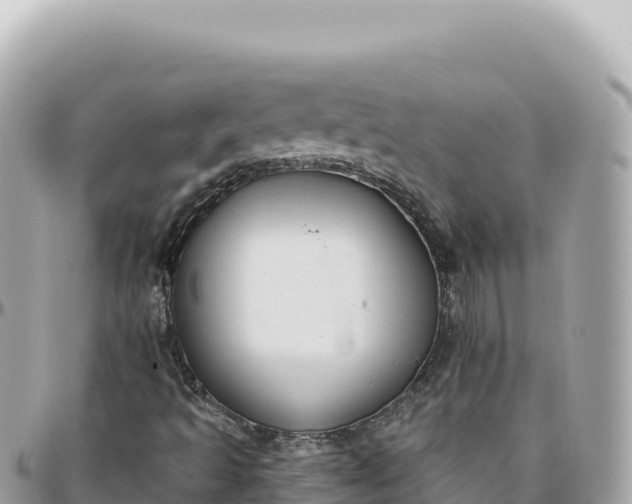 X0000095881493200801251129