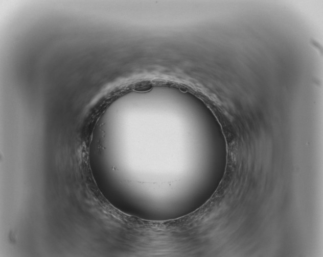 X0000095881495200801251129