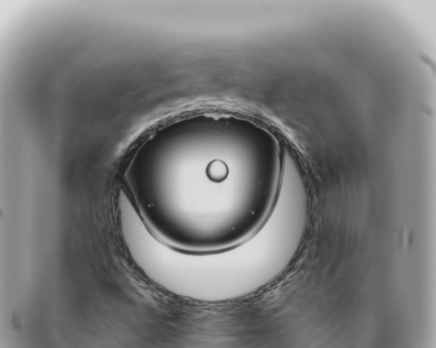 X0000095881496200801251129