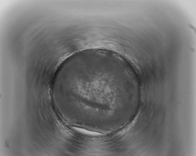 X0000095881497200801251129