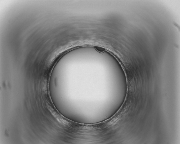 X0000095881499200801251129