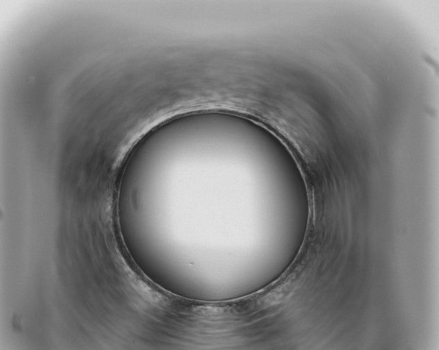 X0000095881500200801251129