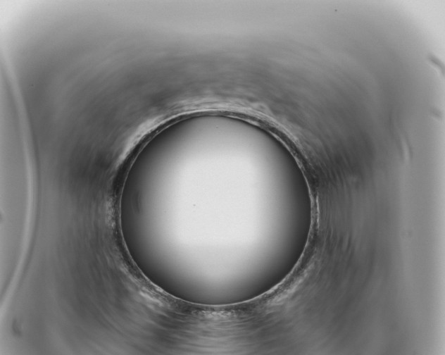 X0000095881501200801251129