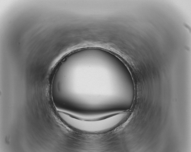 X0000095881502200801251129