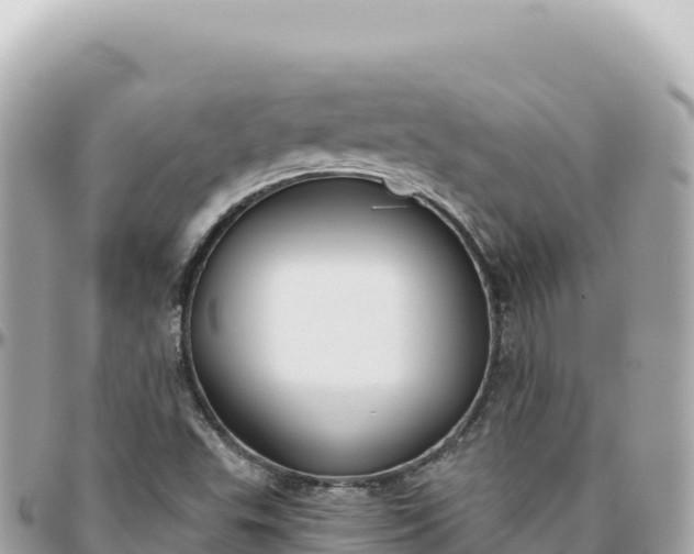 X0000095881503200801251129