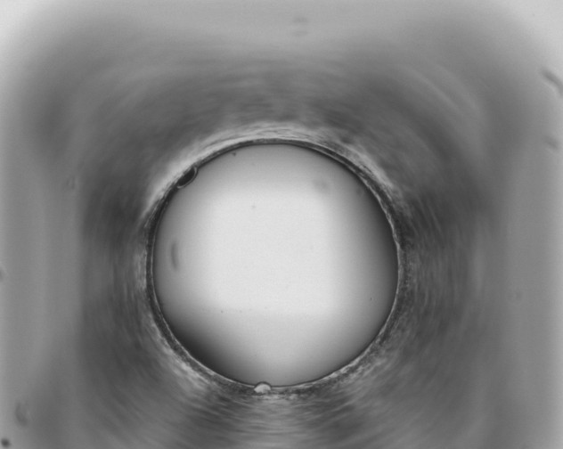 X0000095881504200801251129