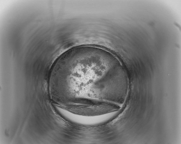 X0000095881505200801251129