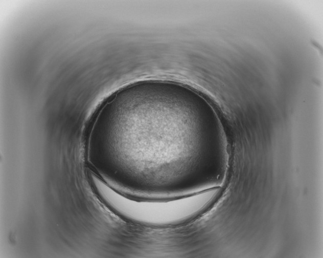 X0000095881506200801251129