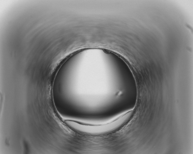 X0000095881507200801251129