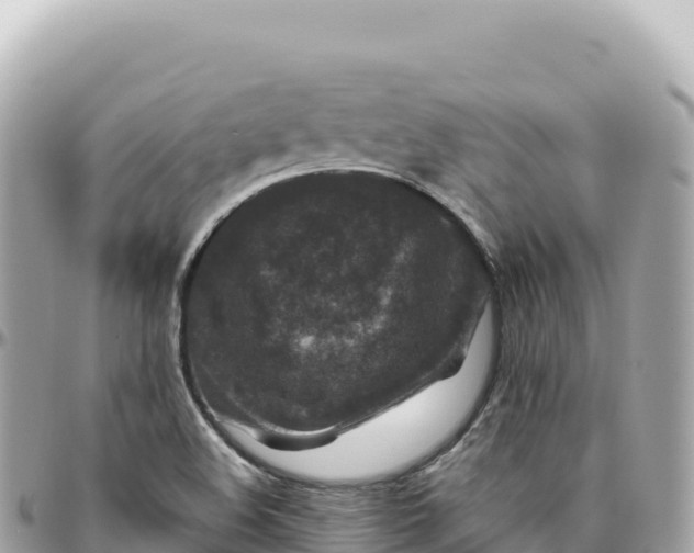 X0000095881508200801251129