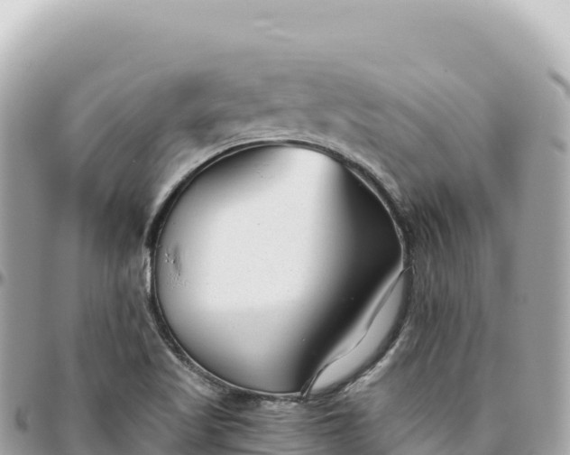 X0000095881509200801251129