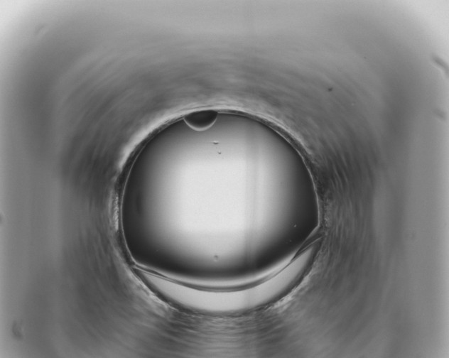 X0000095881510200801251129