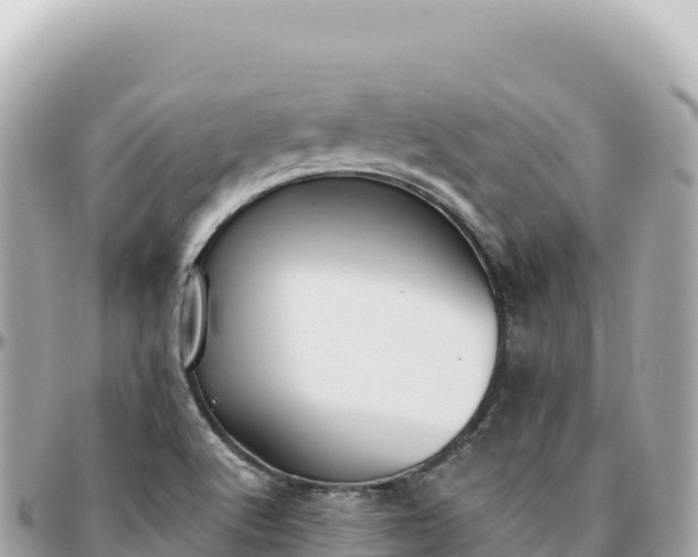 X0000095881512200801251129