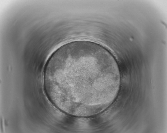 X0000095881514200801251129