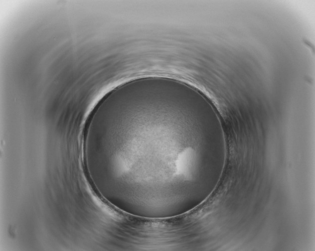 X0000095881515200801251129