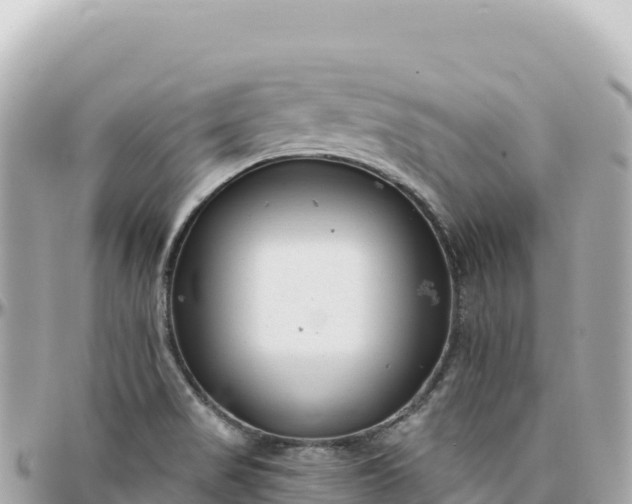 X0000095881517200801251129