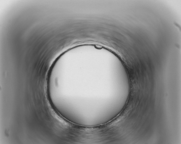 X0000095881518200801251129