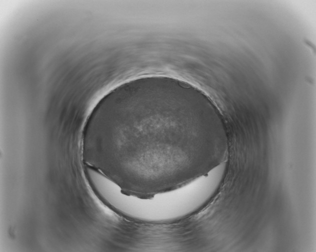 X0000095881519200801251129