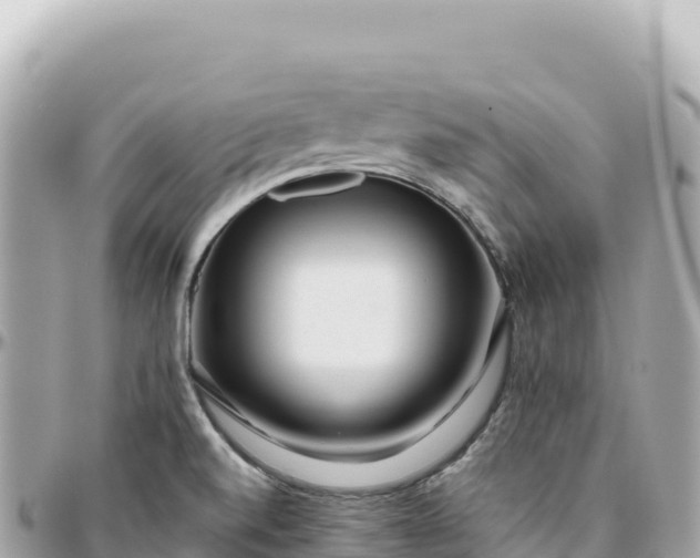 X0000095881520200801251129