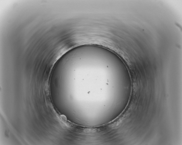 X0000095881521200801251129