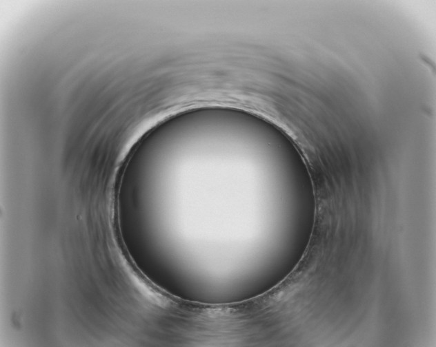 X0000095881523200801251129