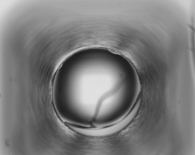 X0000095881524200801251129