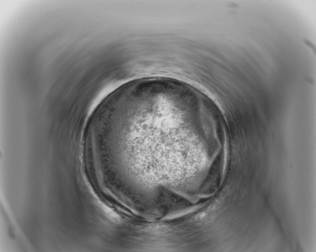 X0000095881525200801251129