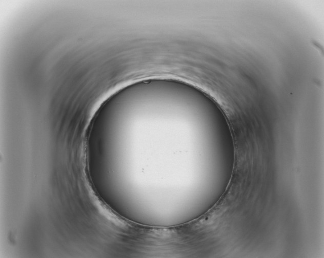 X0000095881526200801251129