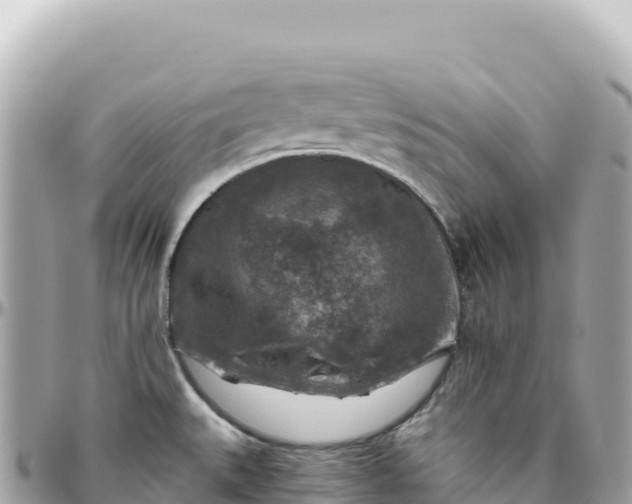 X0000095881527200801251129