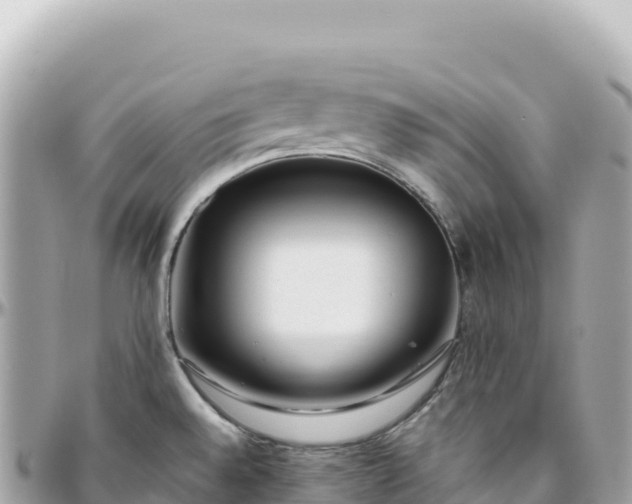 X0000095881528200801251129