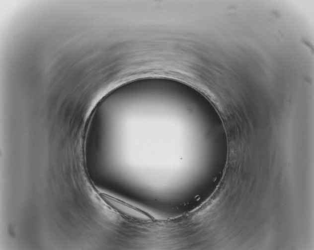 X0000095881530200801251129