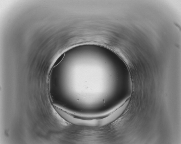 X0000095881532200801251129