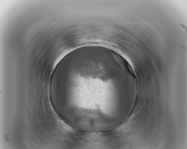 X0000095881533200801251129