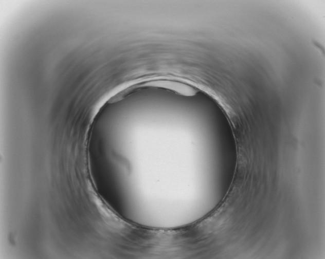 X0000095881534200801251129