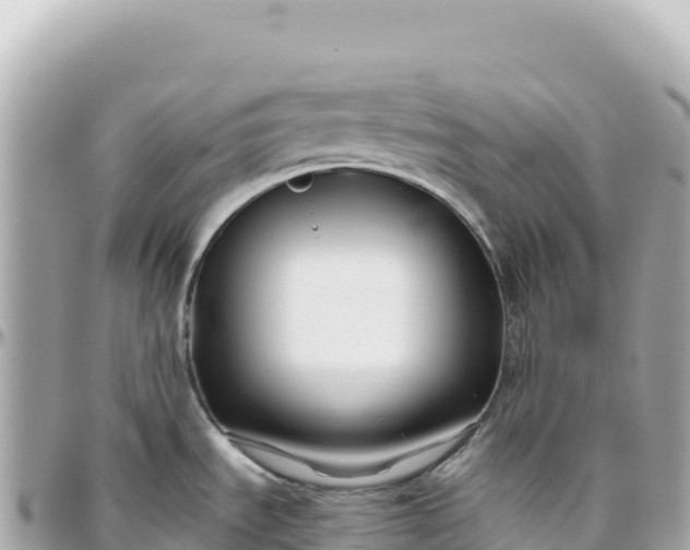 X0000095881535200801251129