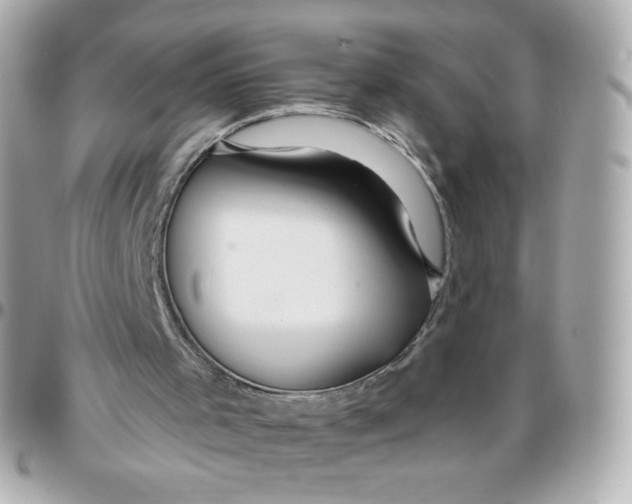 X0000095880001200802011055