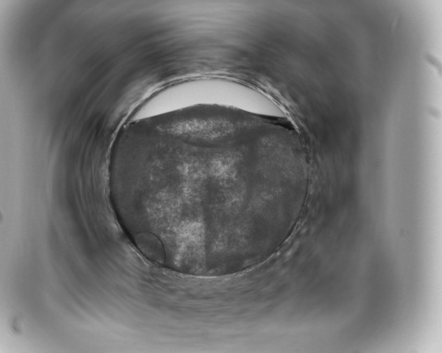 X0000095880002200802011055