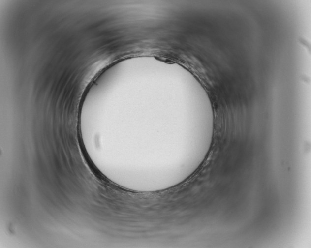 X0000095880003200802011055