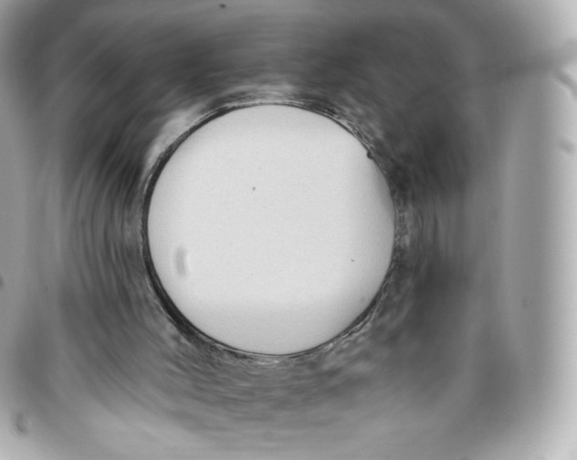 X0000095880004200802011055