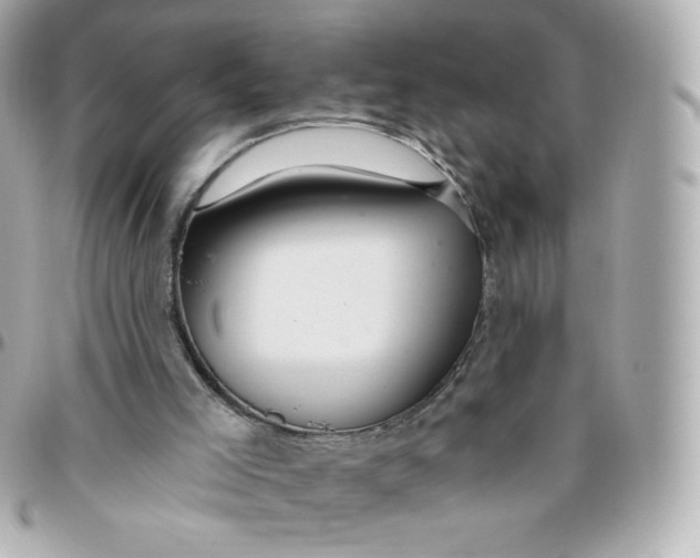 X0000095880005200802011055