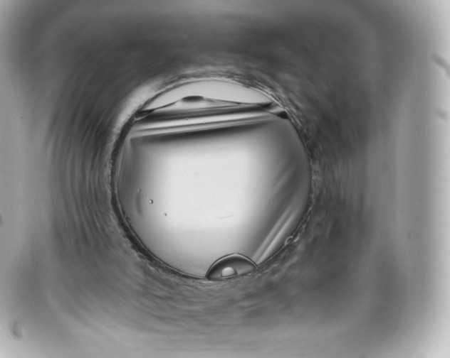 X0000095880006200802011055