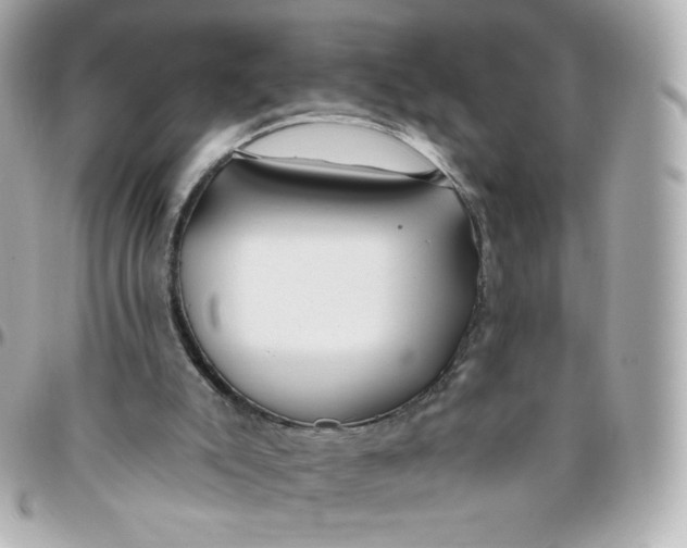 X0000095880007200802011055